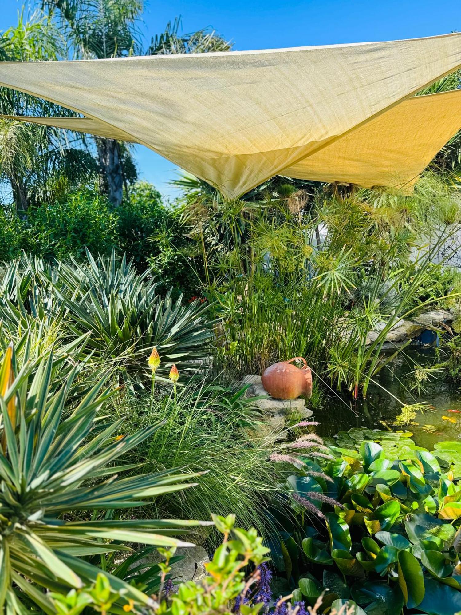 Palm View Guesthouse, Adults Only Luz Екстериор снимка